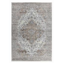 HomeRoots 4' X 6' Brown Oriental Area Rug - 4' x 6'