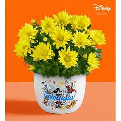 1-800-Flowers Plant Delivery Disney Celebration Mum Plant