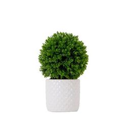 10in. Artificial Boxwood Topiary Plant with Decorative Planter - Nearly Natural P1916