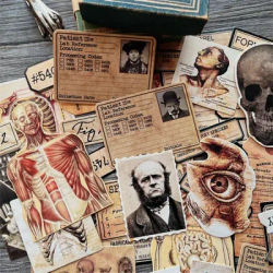 43Pcs Tim Holtz Style Medical Craft Paper Junk Journal Ephemera anatomia umana cartoncino Collage