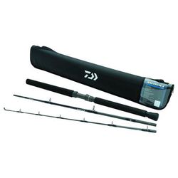 Daiwa Saltiga Saltwater Travel Casting Rod 9ft Medium Heavy Fast 2 Pieces SATR592MHB