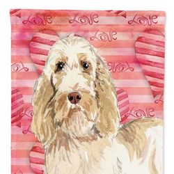 Caroline's Treasures 11 x 15 1/2 in. Polyester Love a Spinone Italiano Garden Flag 2-Sided 2-Ply