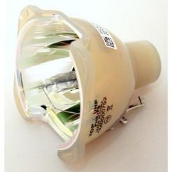 Genuine AL™ 245-170W 0.8 E19.4 IC SO Bulb (Lamp Only) for Various Projectors - 90 Day Warranty