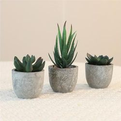 Add A Pop Of Color To Your Home Decor With 3pcs Mini Plants Small Pots!