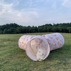 TEMU 3-way Rabbit Tunnel - Collapsible Play Tube For Bunnies, Small Pet Hideaway Toy