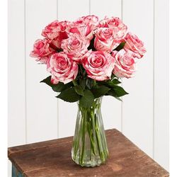 1-800-Flowers Flower Delivery Pink Splash Roses 12-24 Stems, 12 Stems W/ Clear Vase