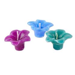 Nature's Glow,'Set of 3 Assorted Floating Flower Candles made in India'