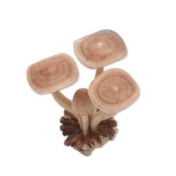 'Hand-Carved Jempinis Wood Forest Mushroom Sculpture'