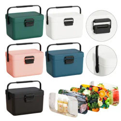 3.8L Insulated Portable Cooler with Handle Hard Cooler Ice Chest Box for Beach Picnic Camping Boating Fishing Car