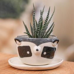 'Raccoon-Themed Ceramic Mini Flower Pot and Saucer (Small)'