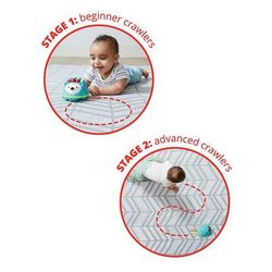 Skip Hop Explore & More Hello Hedgehog Crawl Toy