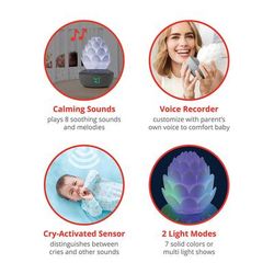 Skip Hop Terra Cry-Activated Soother