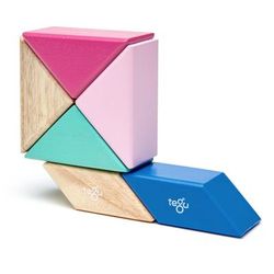 Tegu Pocket Pouch Prism 6 Piece Magnetic Blocks - Blossom