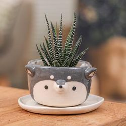 'Thai Husky Dog-Themed Mini Flower Pot and Saucer (Small)'