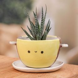 Bee Epoch,'Handmade Bee-Shaped Ceramic Flower Pot and Saucer (Medium)'
