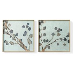 Daylight Eucalyptus Giclee Prints - Print I - Frontgate