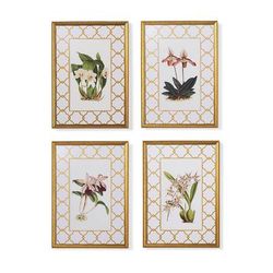 New York Botanical Garden Orchid Prints - Print IV - Frontgate