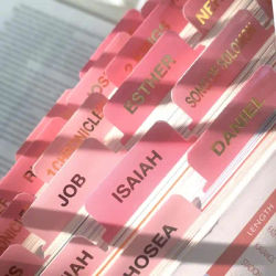 Pink Bible Tabs Large Print Laminated Bible Tabs for Women and Men Easy to Read Bible Book Tabs for Study Bible Index Tabs
