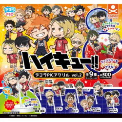 Stand stones Capsule Toy cute Decora PIC Acrylic Haikyu!! vol.2 anime Hinata Shoyo stand model ball chain pendant gashapon