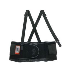 Ergodyne Proflex 100 Economy Back Support, Small, Black