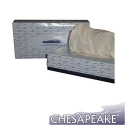 Chesapeake FT White Flat Box Facial Tissue, 30 Boxes of 100 Sheets - Case of 30 ACMFT