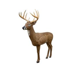 Rinehart Targets Woodland Big Jim