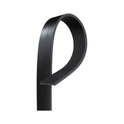 AC Delco Serpentine Belt, Supercharger, Lifetime limited warranty 8K507