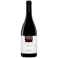 "Rafael Cambra La Forcalla de Antonia 2022 Red Wine - Spain"