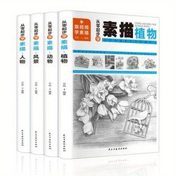 TEMU Learning Sketching From Scratch (complete 4 Volumes) Chinese Book Chinese Version