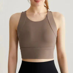 Professional Integrated Sports Vest Shock-proof Gathering Sports Underwear for Women Running Quick Dry Yoga Fitness Bra Cloth