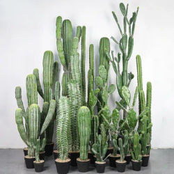 Simulated Immortal Pillar Large Desert Plant Nordic Cactus Ball Artificial Green Plant Hoja Artificial Decoracion