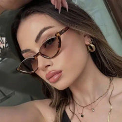 Luxury Sunglasses Y2K Classic Cat Eye Lower Frame Sunglasses Women Retro Sun Glasses INS Eyeglasses Sunglass Men