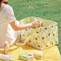 Large Capacity Portable Thermal Insulation Bag Picnic Basket Thickened Oxford Cloth Outdoor Hand Bags Travel Camping Equipment