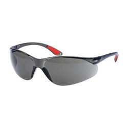 Portwest Fossa Safety Glasses, Smoke, Size , Each (PW15SKR)