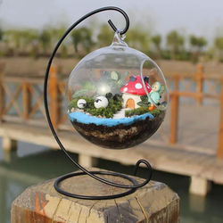 Teardrop Glass Terrarium Teardrop Glass Terrarium