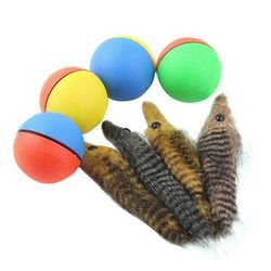 Discover Premium Cat Toys: Your Feline Companion's Exclusive Playground 6 Eggs