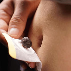 Organic Chinese Herbal Pellet Organic Chinese Herbal Pellet