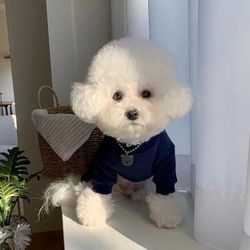 Puppy Cartoon Clothes: Summer Pet Apparel For Dogs & Cats M 3