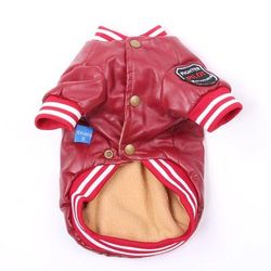 Winter Dog Coat: Faux Leather & Fleece Teddy Jacket M 2