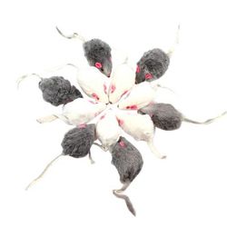 Soft Rabbit Fur Cat Toy Set With Rattling Mice Tail 12 Pcs Color: Gray White
