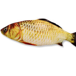Interactive 20CM Simulation Fish Plush Cat Toy For Training And Entertainment Crucian