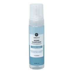safeHands Alcohol-Free Hand Sanitizer 7 oz. BZK (Benzalkonium Chloride) Foaming Bottle (868130_CS)