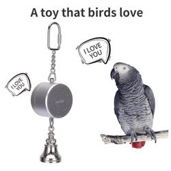 Parrot Talking Coach Interactive Voice Recording Toy With Bell silver