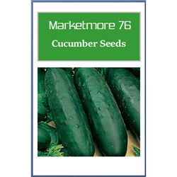 Marketmore 76 Cucumber Seeds, Non GMO Heirloom Garden Seeds, Best For Organic Gardening 400 Seeds