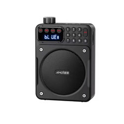 Mini Digital FM Radio Speaker With Bluetooth 5.3 USB TF Card Slot And Voice Amplifier yf 0827 black