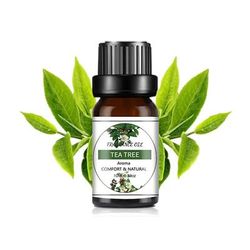 Pure 10ml Mango & Pineapple Essential Oils For DIY Aromatherapy, Soap, And Candle Making tea Tree