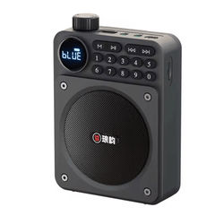 Mini Digital FM Radio Speaker With Bluetooth 5.3 USB TF Card Slot And Voice Amplifier yf 1289 gray