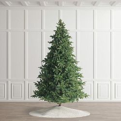 Western Balsam Fir Tree - 9' - Frontgate - Christmas Tree