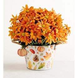 1-800-Flowers Plant Delivery Pumpkin Patch Mum Large Plant