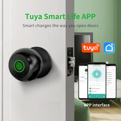 SecureEase Smart Fingerprint Door Lock silver